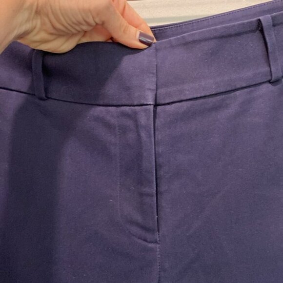 Ann Taylor Loft Blue Julie Skinny Ankle Pants Size 8 - Picture 5 of 15